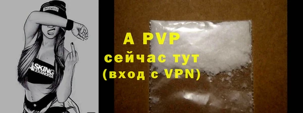индика Нефтекумск