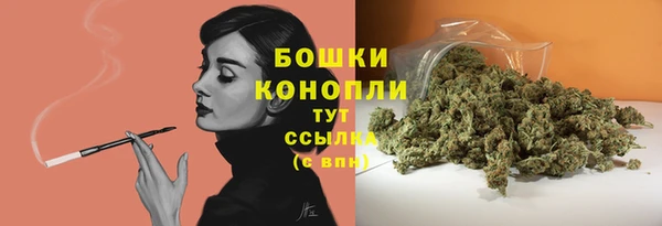 дживик Иннополис