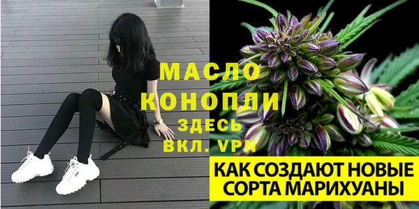 индика Нефтекумск
