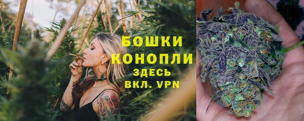 дживик Иннополис