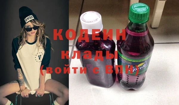 дживик Иннополис
