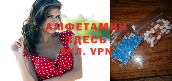 индика Нефтекумск