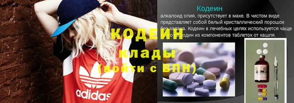 дживик Иннополис