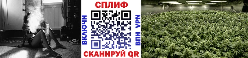 купить наркотики цена shop наркотические препараты Марихуана White Widow Кубинка